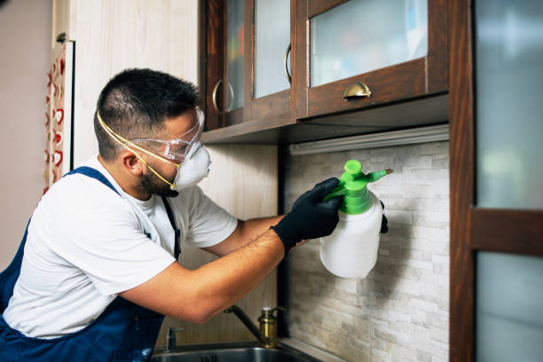 Best Bed Bug Extermination  in Dalhart, TX