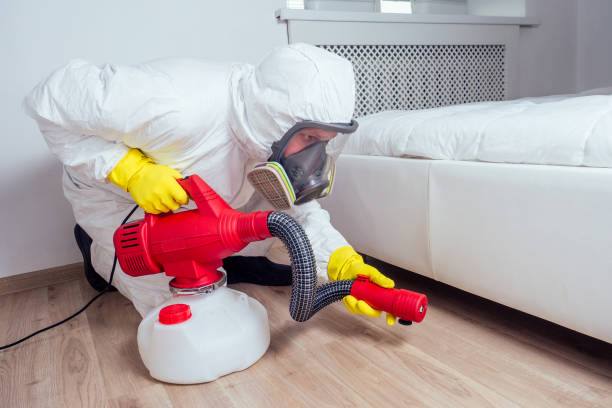 Best Ant Control Services  in Dalhart, TX