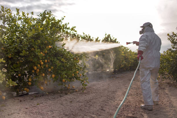 Best Pest Inspection Near Me  in Dalhart, TX